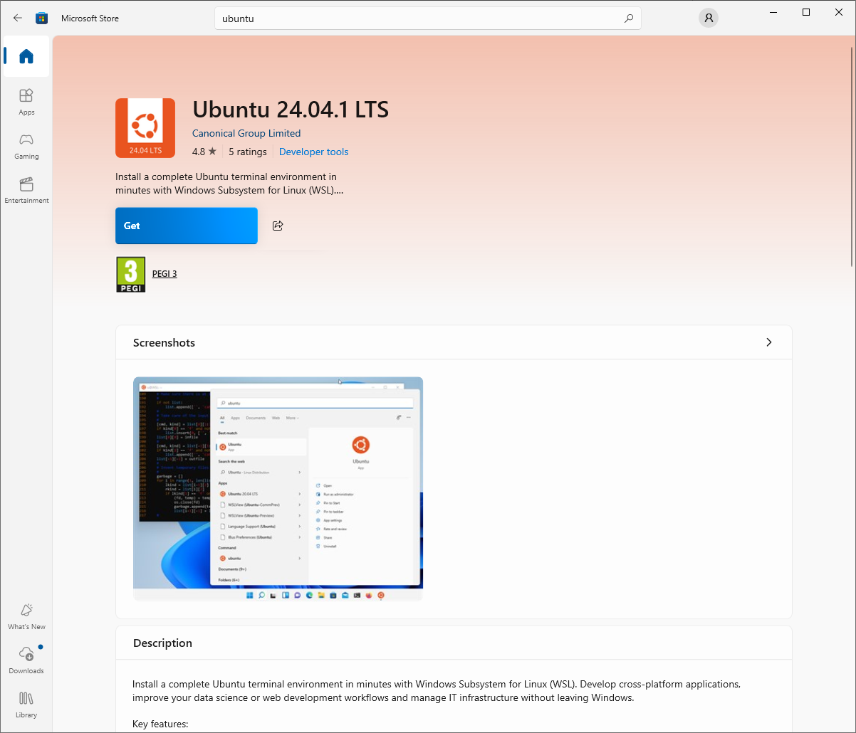 Microsoft store
